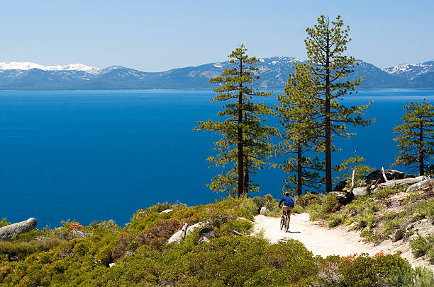 Read more about the article Guide to Mountain Biking in North Lake Tahoe